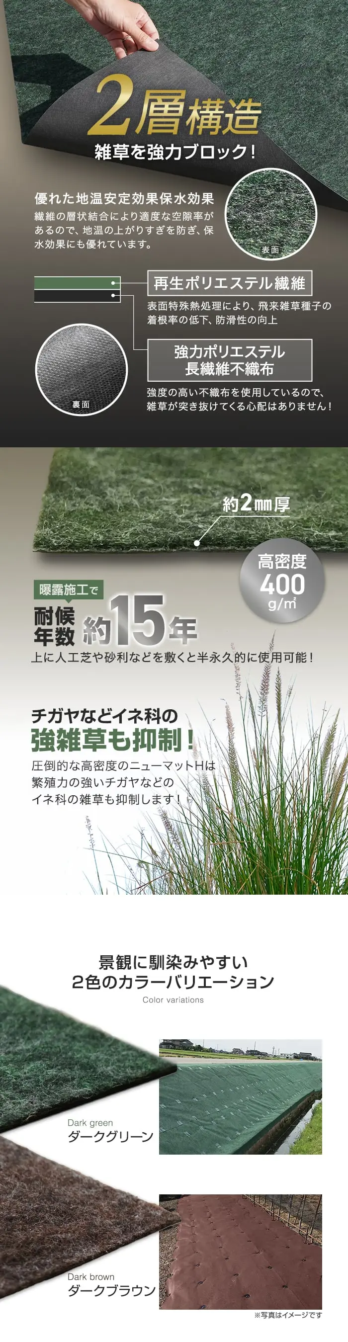 チガヤなどのイネ科の強雑草も抑制