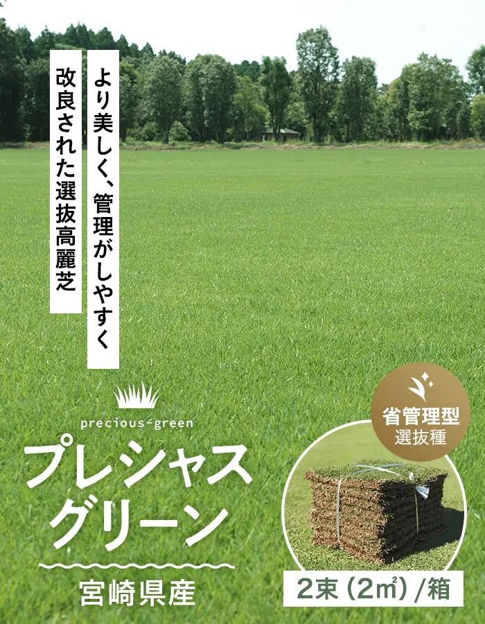 より美しく、管理がしやすく改良された選抜高麗芝