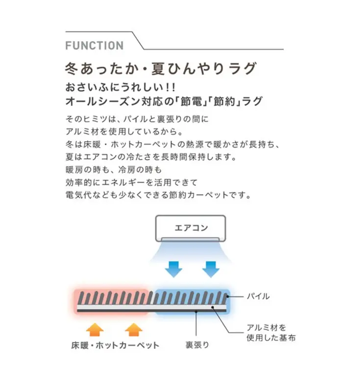 冬あったか・夏ひんやりラグ