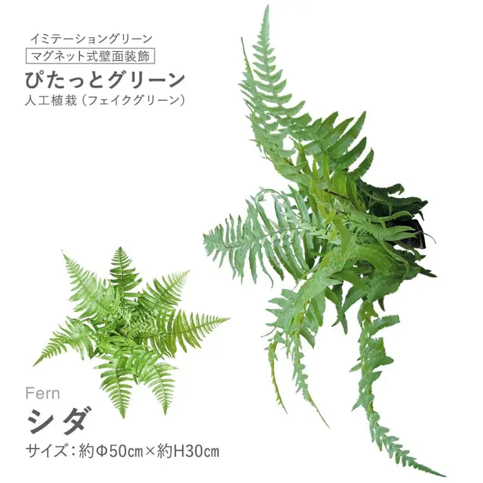マグネット式壁面装飾 ぴたっとグリーン 人工植栽 シダ【掲載品番】PG-012