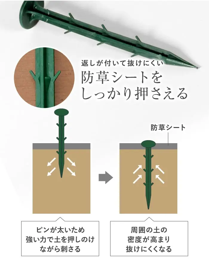 防草シートをしっかり押さえる