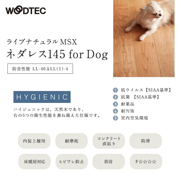 ライブナチュラルMSX ネダレス145 for Dog