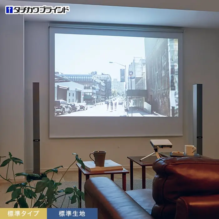 標準タイプ