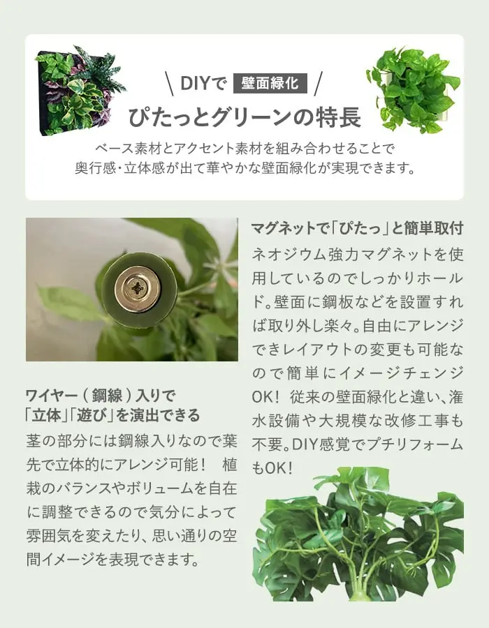 DIYで壁面緑化 ぴたっとグリーンの特長