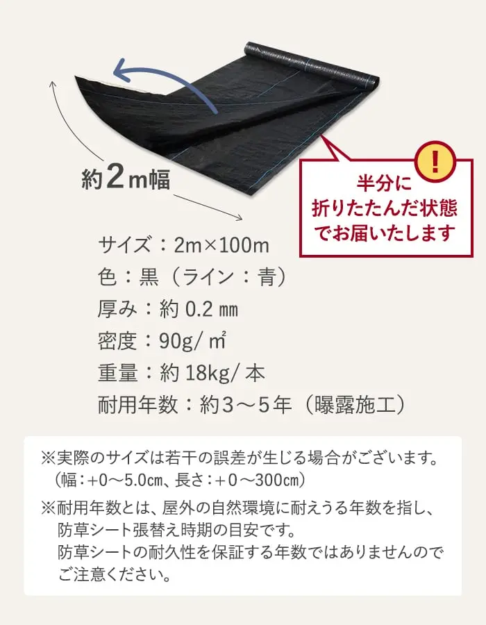 サイズ