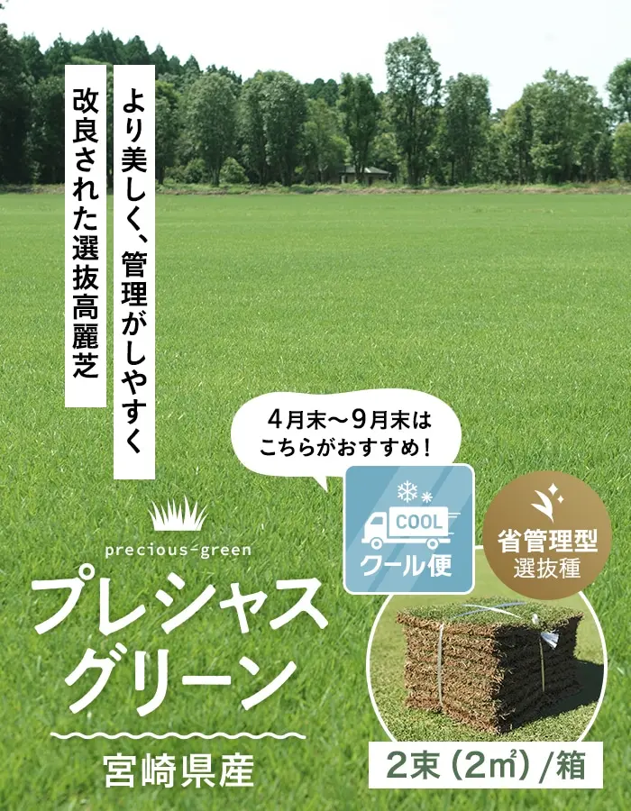 より美しく、管理がしやすく改良された選抜高麗芝