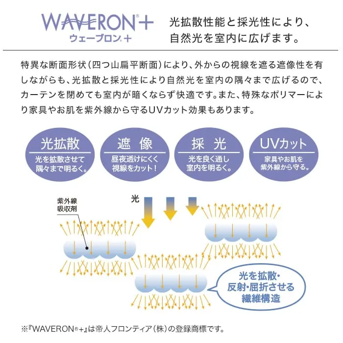 光拡散性能と採光性により、自然光を室内に広げます。