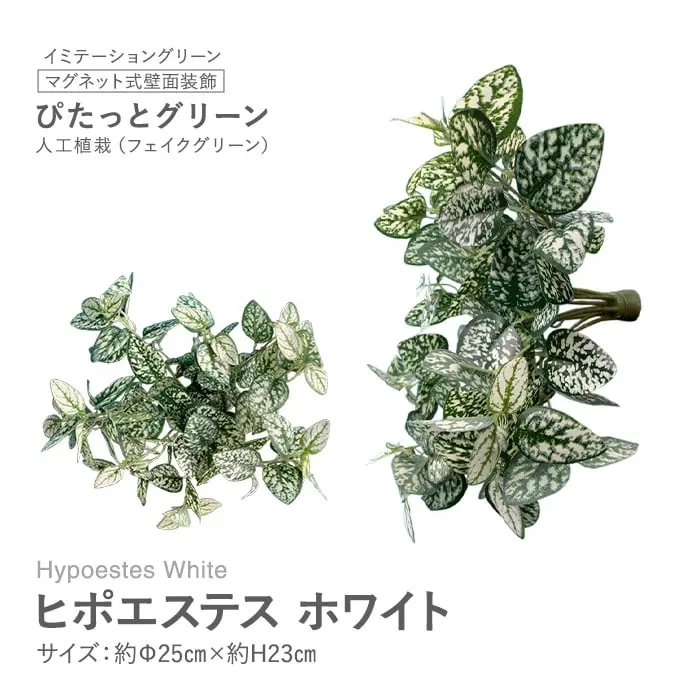 マグネット式壁面装飾 ぴたっとグリーン 人工植栽 ヒポエステス ホワイト【掲載品番】PG-018