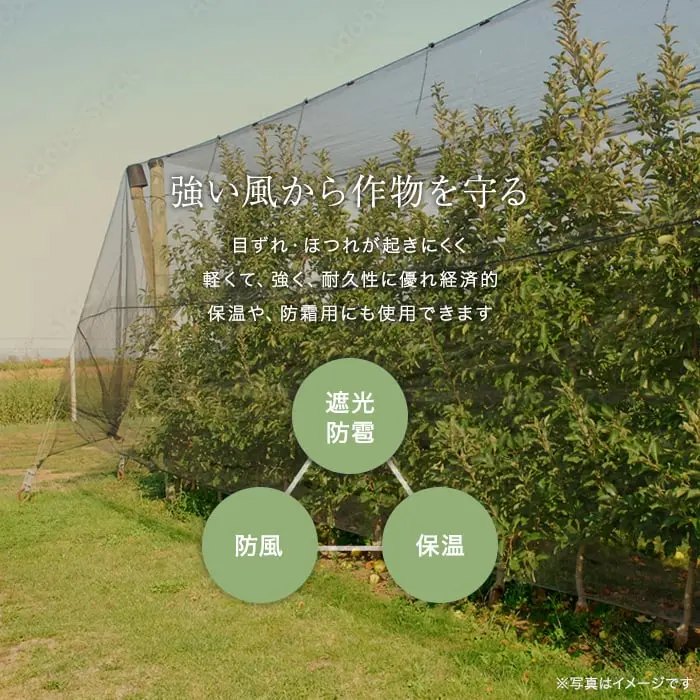 強い風から作物を守る
