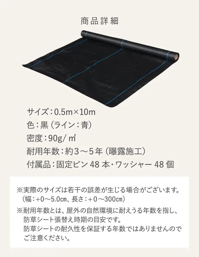 サイズ