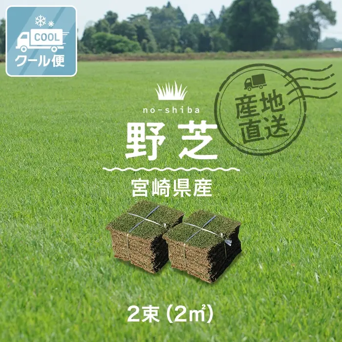 野芝宮崎県産