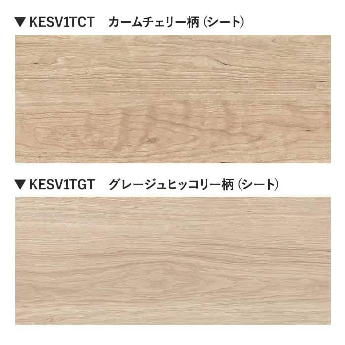 カラーラインナップ