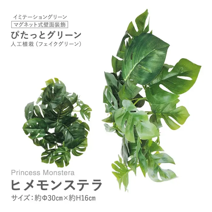 マグネット式壁面装飾 ぴたっとグリーン 人工植栽 ヒメモンステラ【掲載品番】PG-002