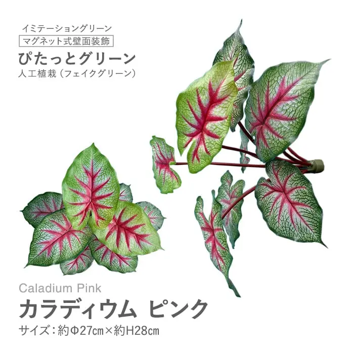 マグネット式壁面装飾 ぴたっとグリーン 人工植栽 カラディウム ピンク【掲載品番】PG-017
