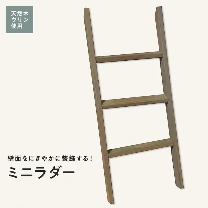 ミニラダー