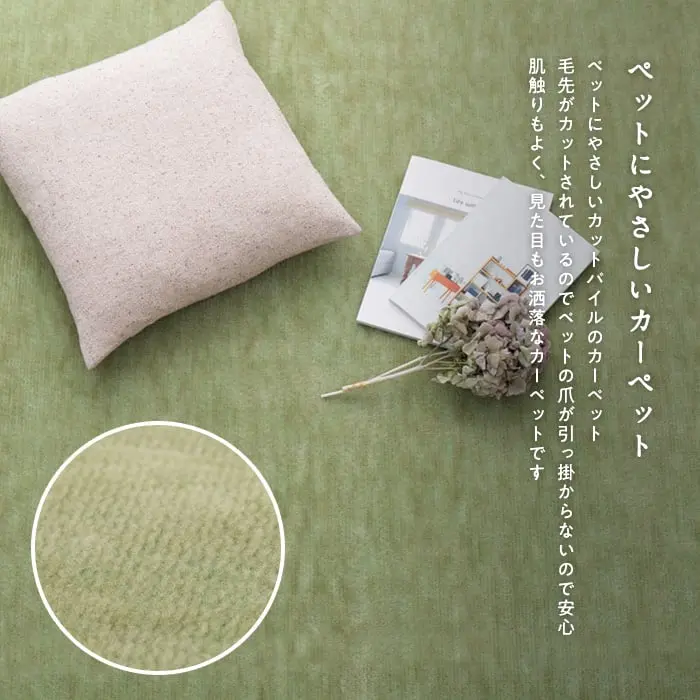 ペットにも安心のカーペット