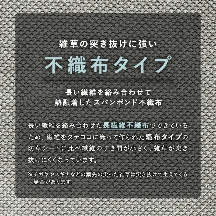 不織布タイプ