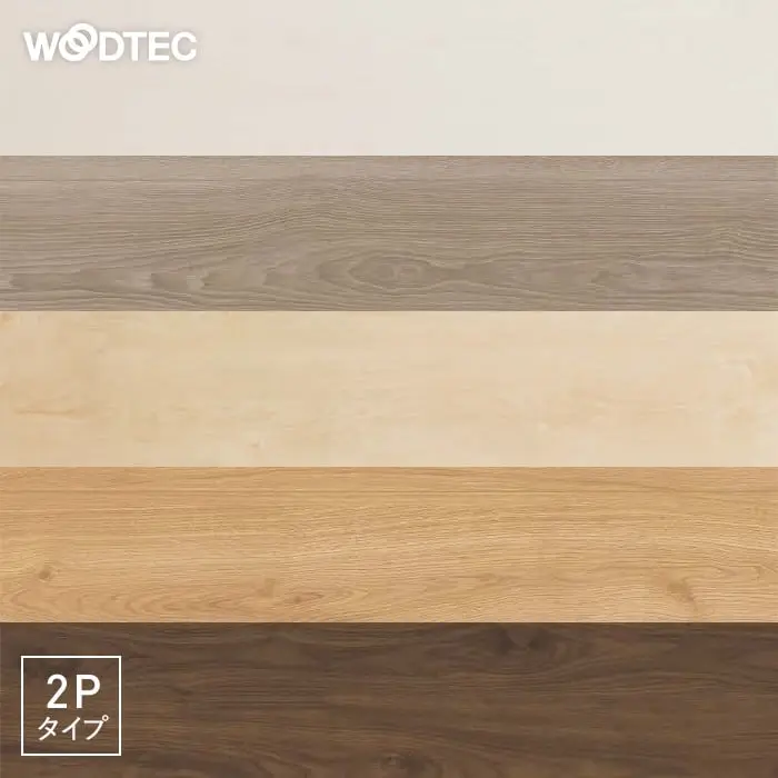 2Pタイプ