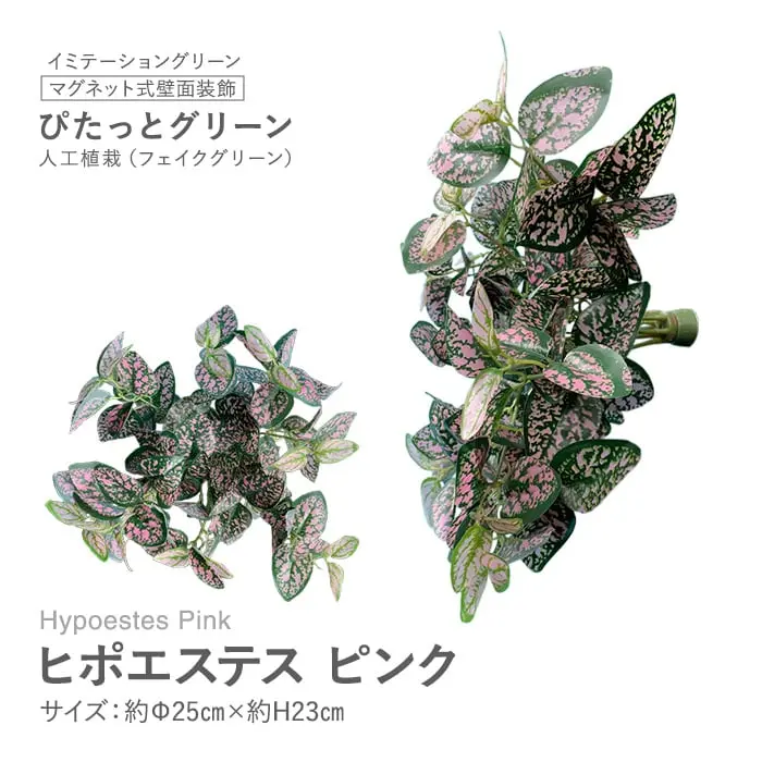 マグネット式壁面装飾 ぴたっとグリーン 人工植栽 ヒポエステス ピンク【掲載品番】PG-019