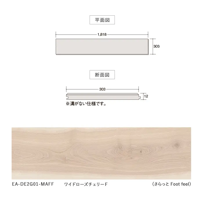 平面図