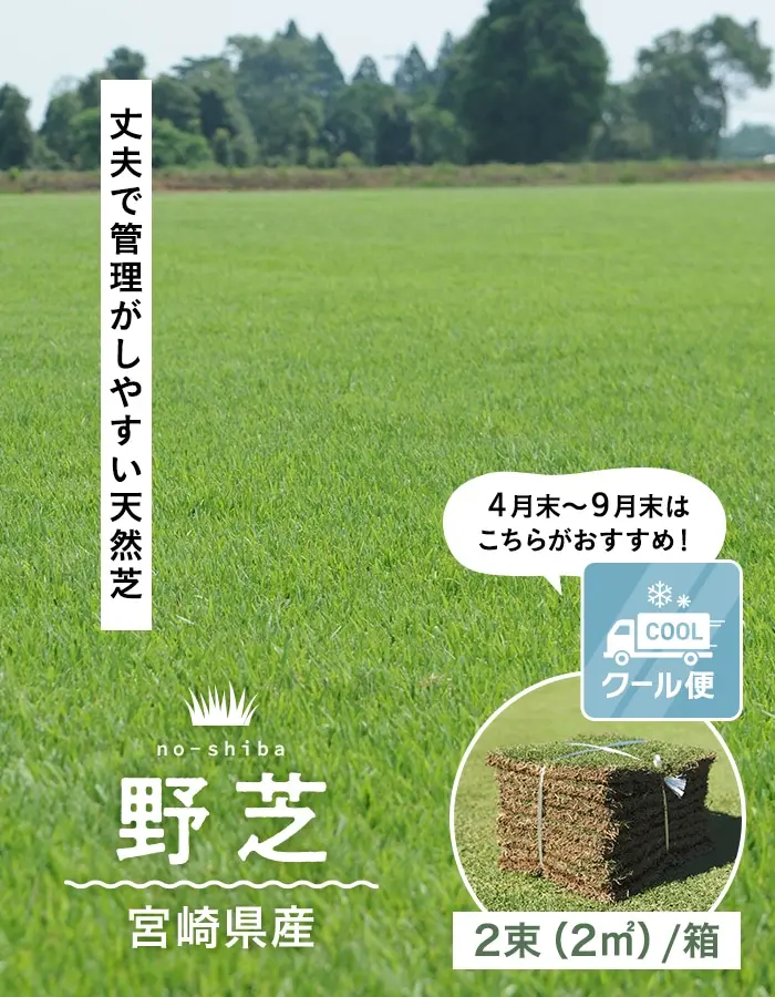 丈夫で管理がしやすい天然芝