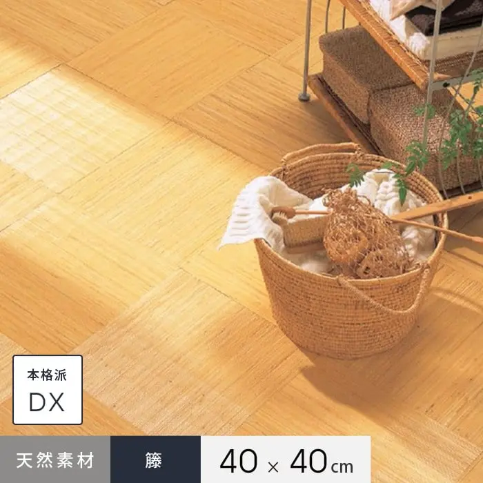 本格派 DX