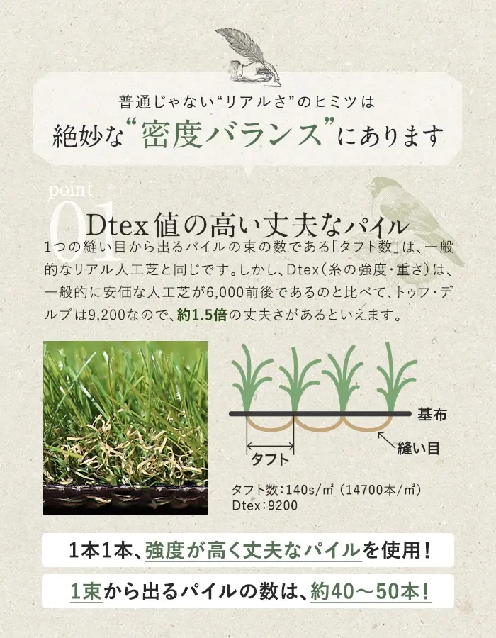 絶妙な“密度バランス”にあります
