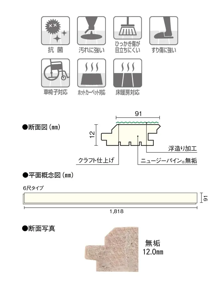 断面図
