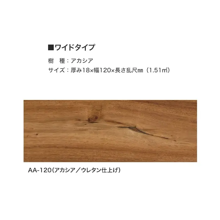 ワイドタイプ