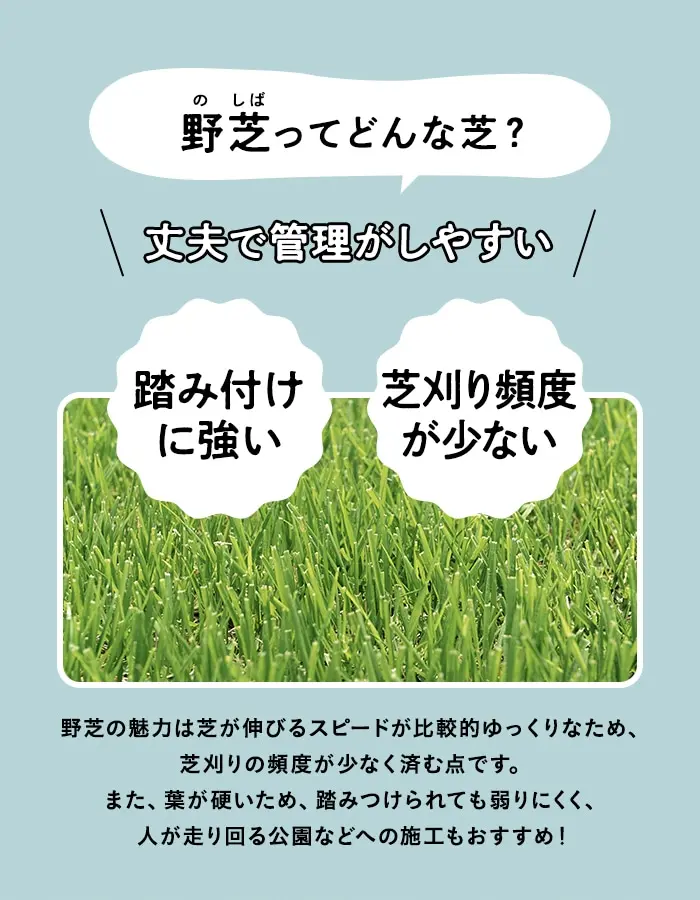 丈夫で管理がしやすい