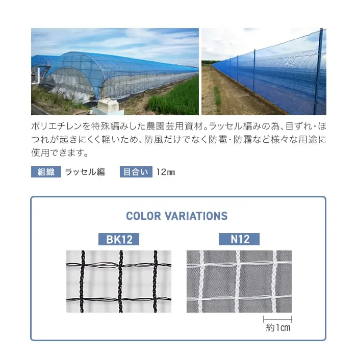 カラーラインナップ