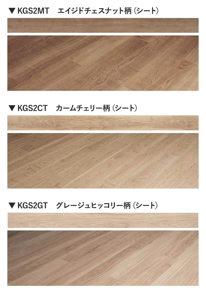 カラーラインナップ