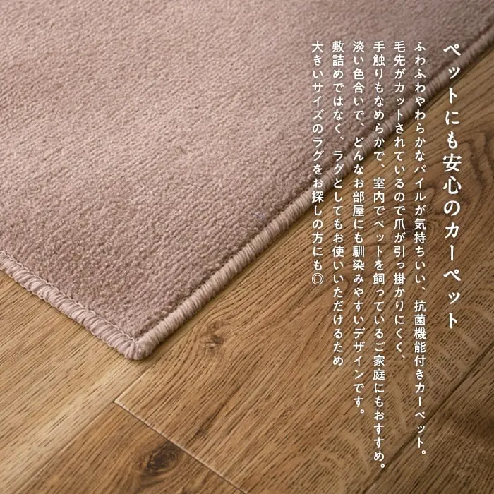 ペットにも安心のカーペット