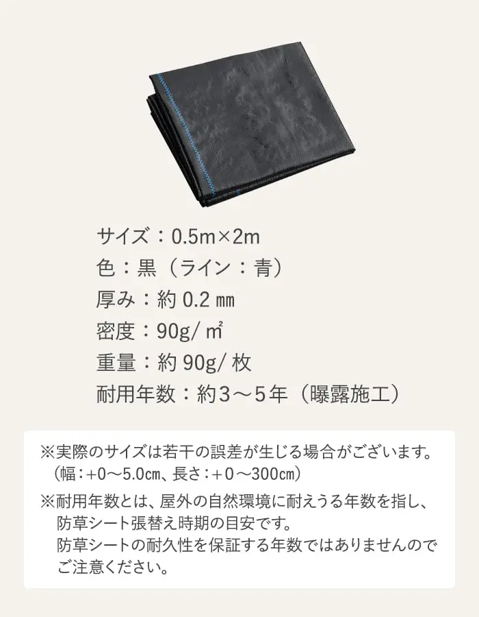 サイズ