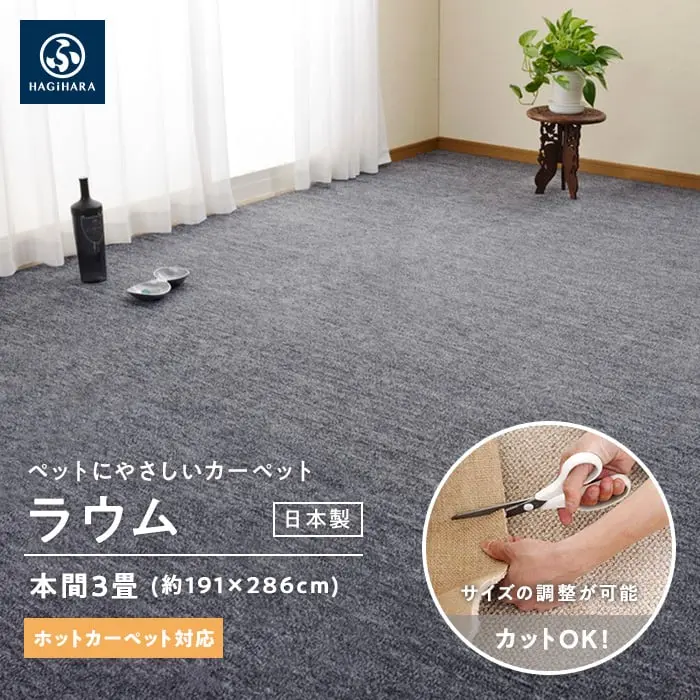 ペットにやさしいカーペット