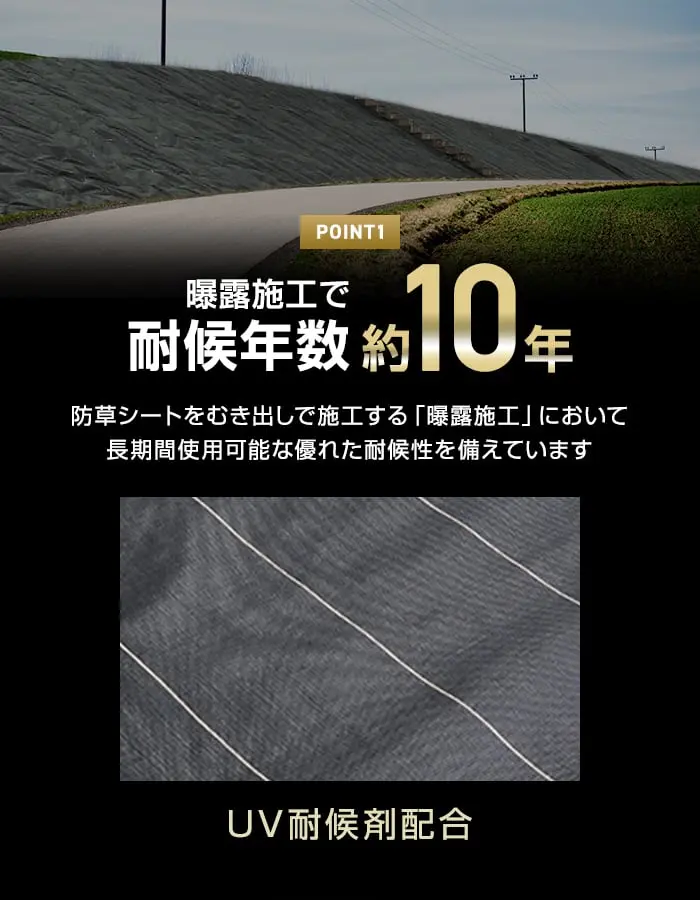 耐候年数約10年