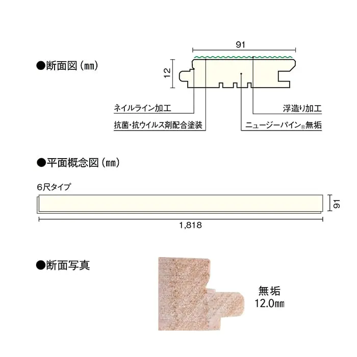 断面図