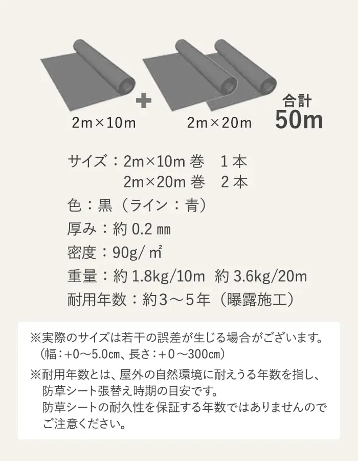 サイズ