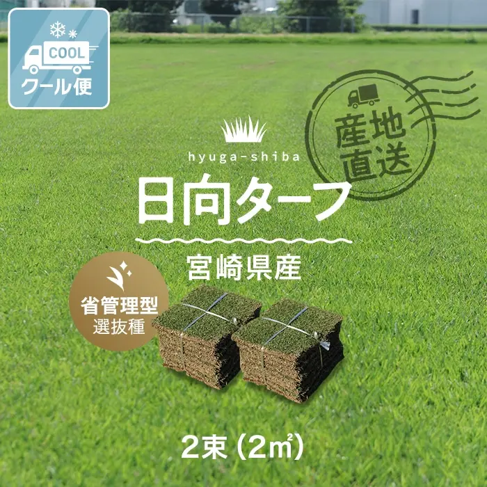 日向ターフの特長