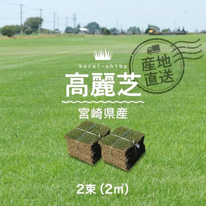 高麗芝宮崎県産