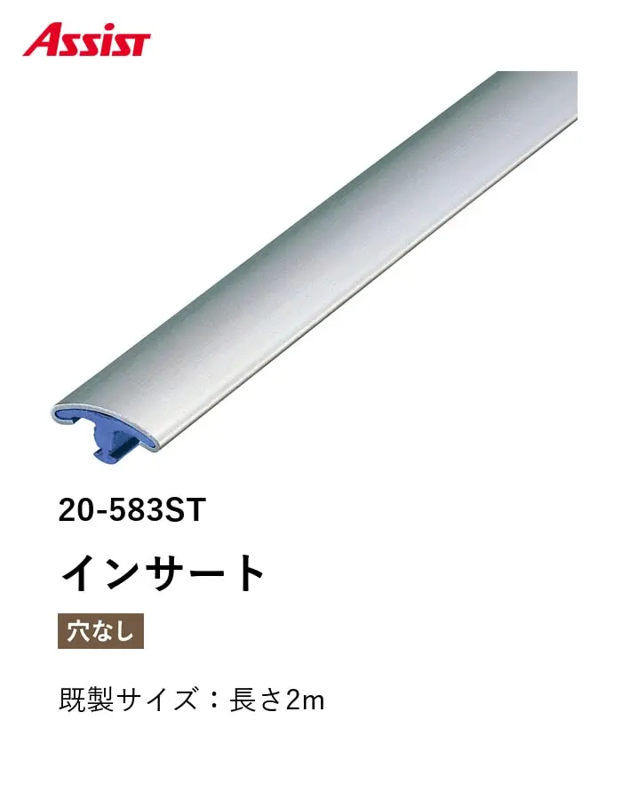 カーペット見切り ステンレス インサート 20-583ST 既製サイズ 2m【掲載品番】20-583ST12