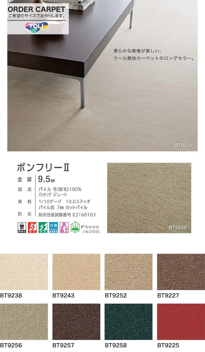 ボンフリーⅡ