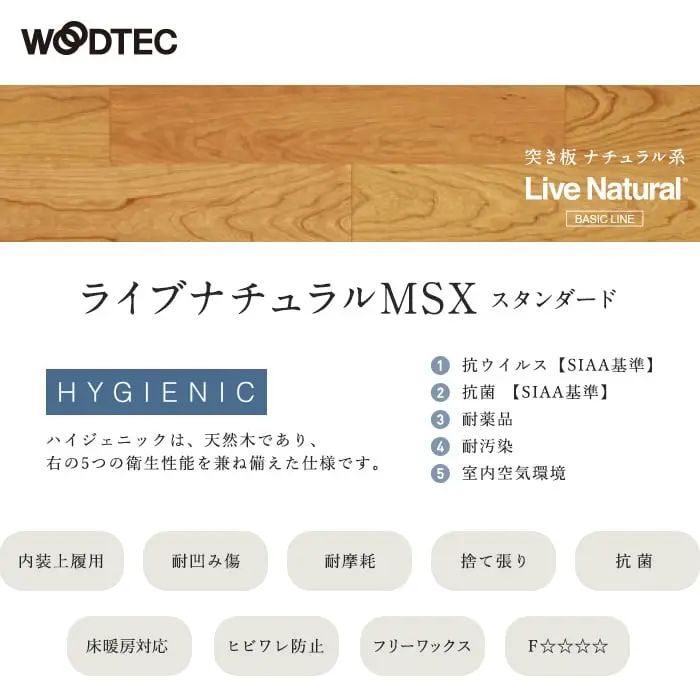 ライブナチュラルMSX