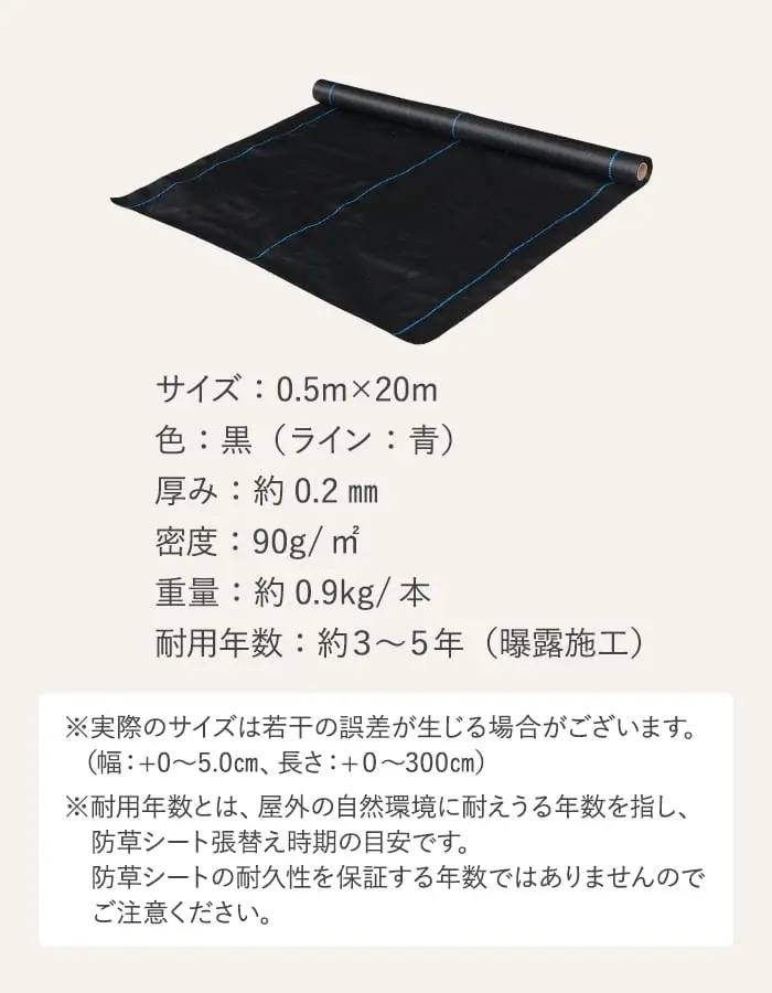 サイズ