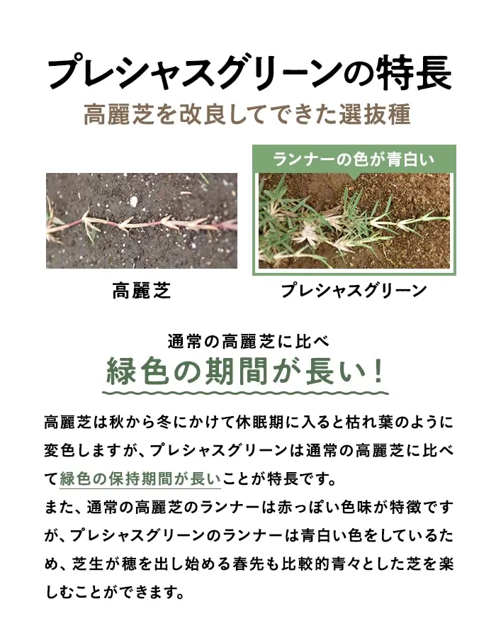 プレシャスグリーンの特長