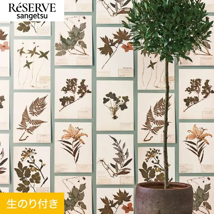 壁紙 のり付き サンゲツ リザーブ 国立博物館 Plants 巾92cm【掲載品番】RE55943