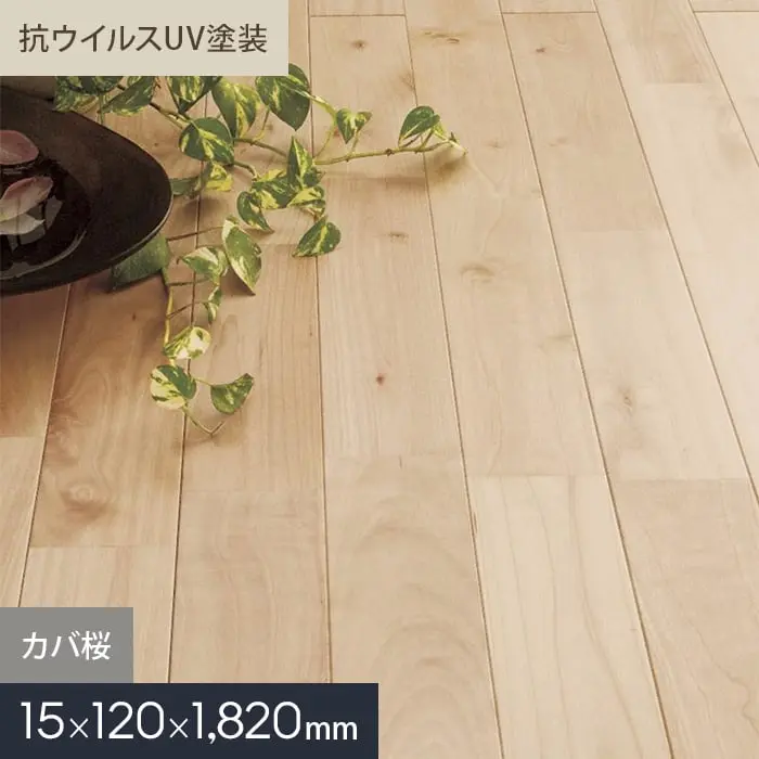 抗ウイルスUV塗装