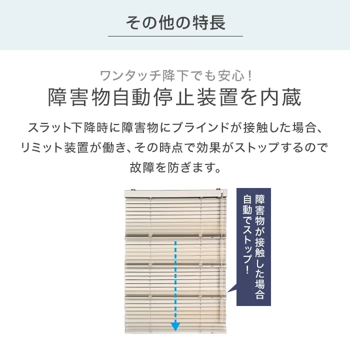 その他の特長