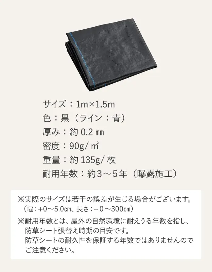 サイズ