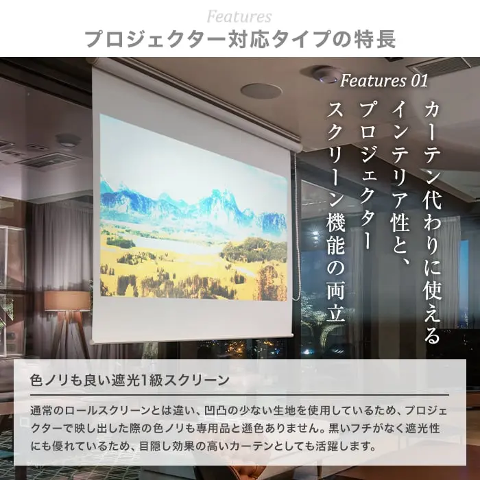 プロジェクター対応タイプの特長